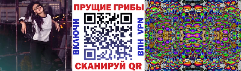 продажа наркотиков  Альметьевск  Галлюциногенные грибы Magic Shrooms 