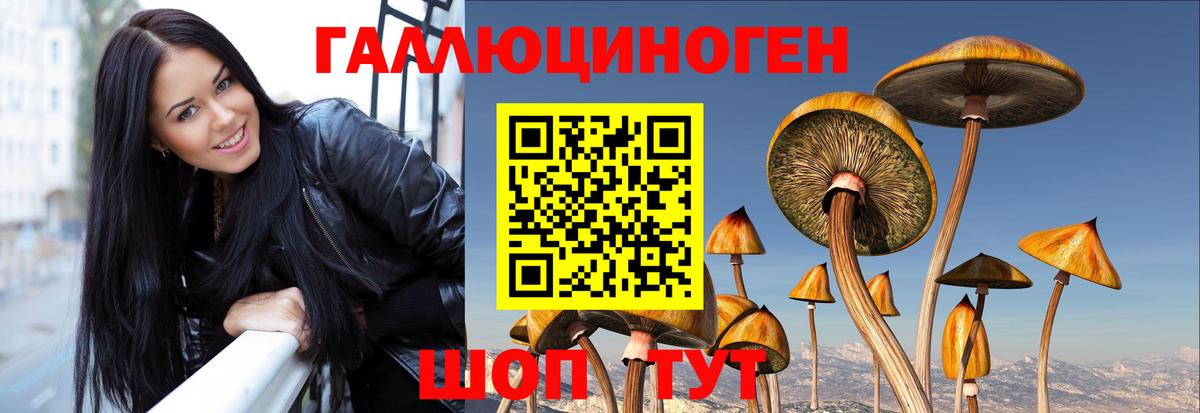 Псилоцибиновые грибы Magic Shrooms  Псилоцибиновые грибы Magic Shrooms  Альметьевск  Вход с VPN 